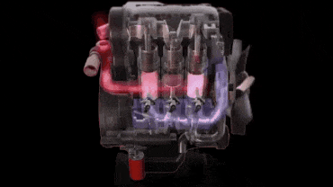 20210825162732.gif